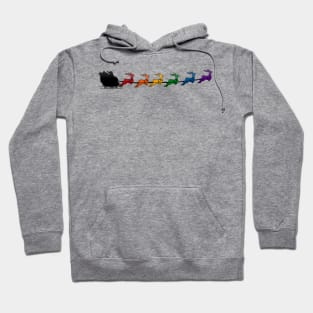 Santa and Sleigh with LGBTQ Pride Rainbow Reindeer Christmas Design Hoodie